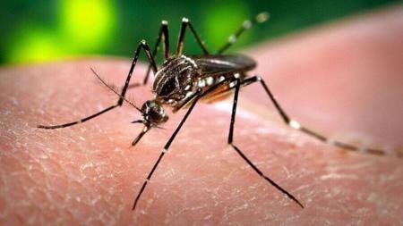 Perodo de chuva: cuidado redobrado para evitar a dengue
