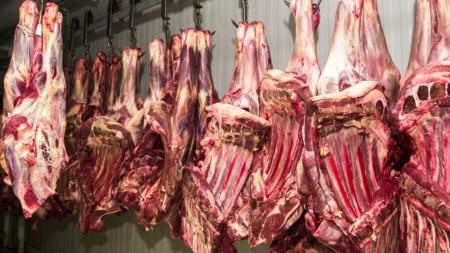 Fim do embargo: China retoma importao de carne do Brasil